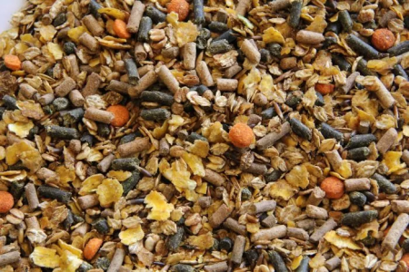 MASTERS Senior Muesli 20kg, zdrowe żywienie koni, musli dla koni, musli dla koni, karma dla koni, musli dla konia, czarny owies dla koni, musli z czarnym owsem, drożdże, prebiotyki w paszy, prebiotyki dla koni