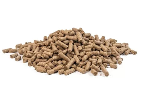 MASTERS Merrie 20kg, granulat dla koni, pasza dla źrebiąt, pasza dla ogierów, stanówka, żywienie klaczy źrebnych, żywienie klaczy karmiących, żywienie źrebiąt, żywienie ogierów kryjących