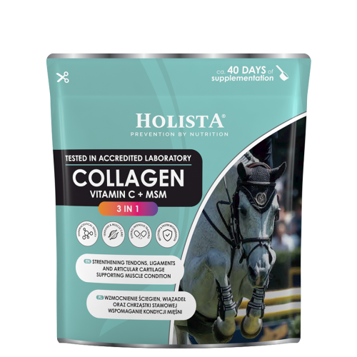 Przejdź do produktu HolistaEquine Collagen 3 in 1 600 g – kolagen dla koni z MSM i witaminą C