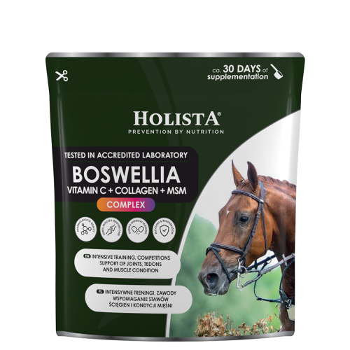 Przejdź do produktu HolistaEquine Boswellia Serrata Complex 500 g – wsparcie stawów, ścięgien i mięśni konia