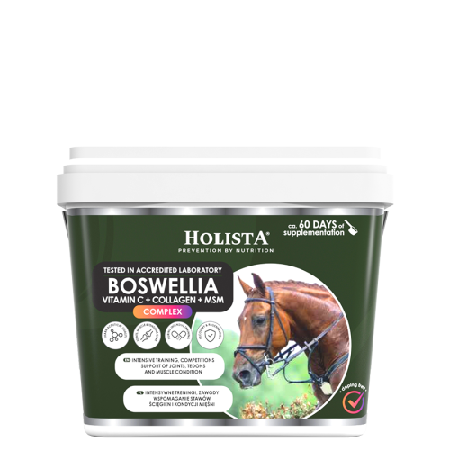 Przejdź do produktu HolistaEquine Boswellia Serrata Complex 1000 g – wsparcie aparatu ruchu konia