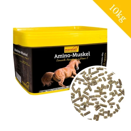 marstall-amino-muskel-10-kg-wiadro-aminokwasy-na-miesnie-dla-koni.jpg