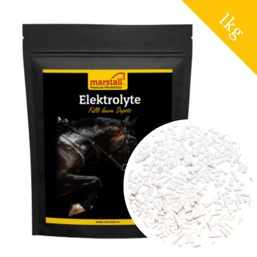 Przejdź do produktu Marstall Elektrolyte 1 kg – elektrolity dla koni na upały, trening i regenerację