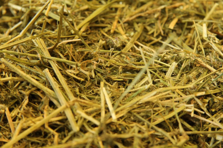 masters-luzernemix-special-20kg-sieczka-z-lucerny-dla-koni.jpg