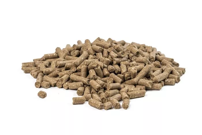 granulat wysokoenergetyczny dla koni, Masters Prestatie dla koni, dla konia, pasza dla koni wyczynowych, wysokoenergetyczny granulat dla koni z elektrolitami, pasza z elektrolitami, elektrolity dla koni, pasza z aminokwasami, zdrowe żywienie koni